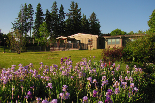 loyola house with blooming purple irises