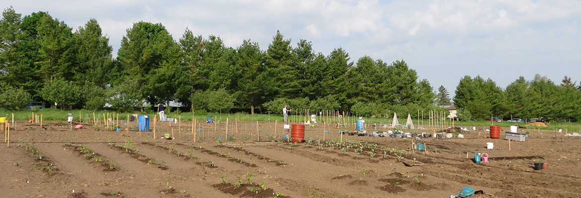 Guelph-Wellington Urban Agriculture Challenge Update