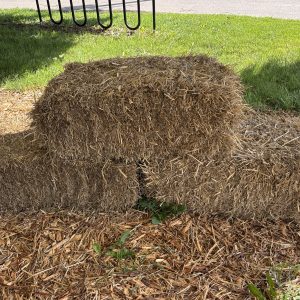 Mulch