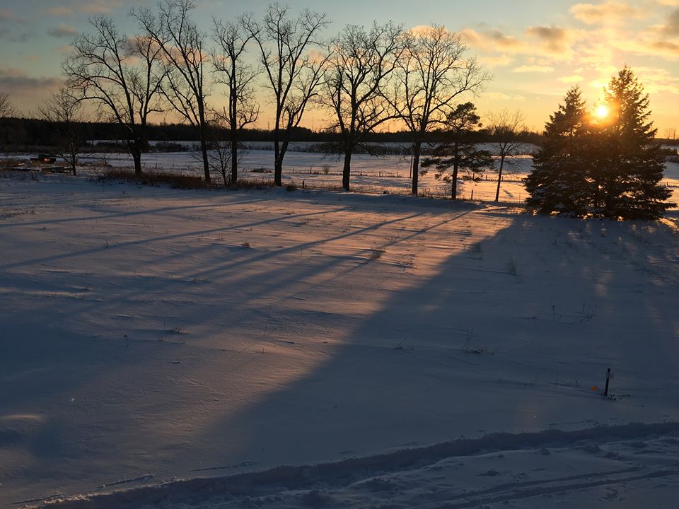 Walking the Trails in Advent
