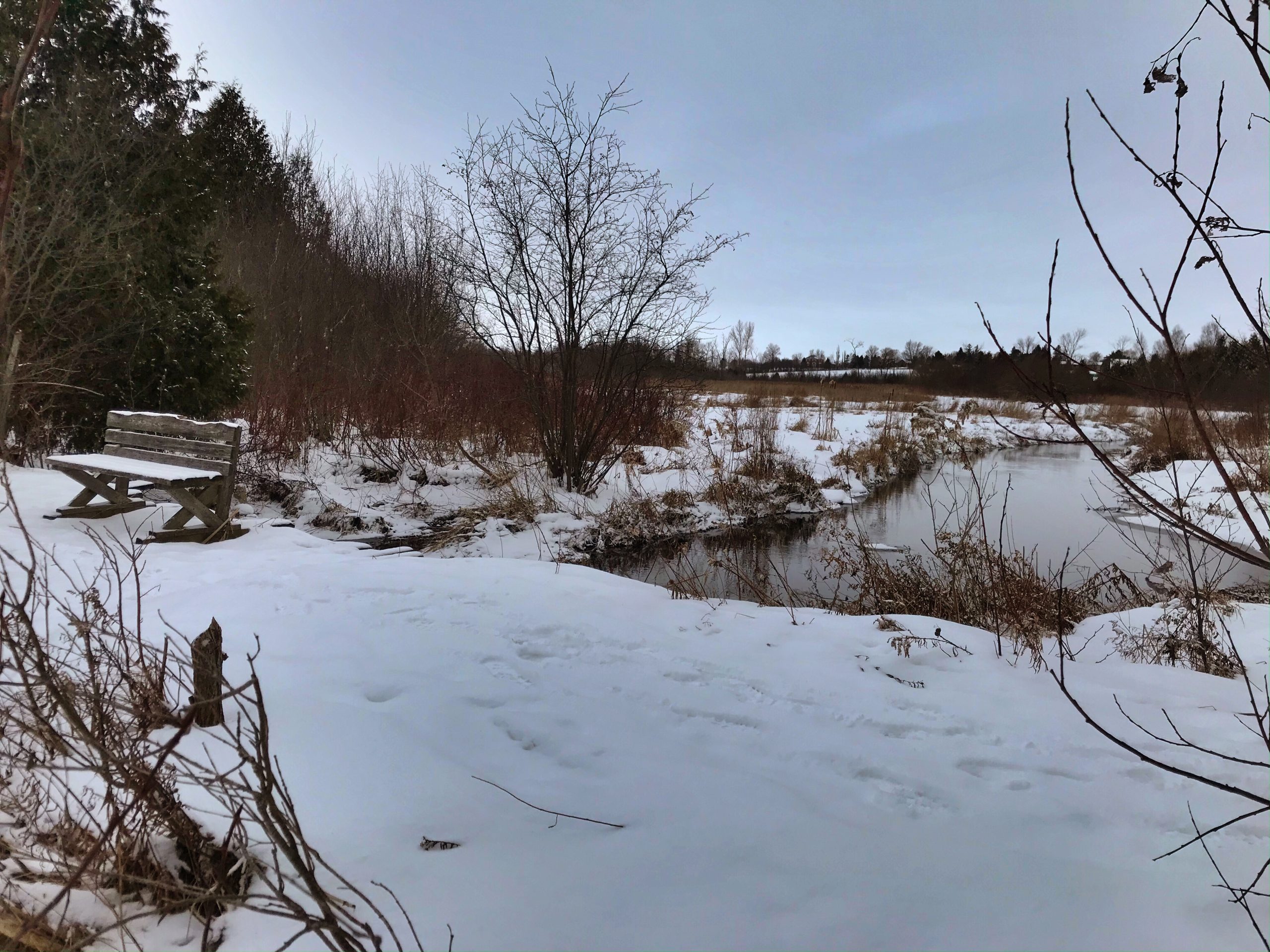Musings on Lent from an Ecospiritual Perspective