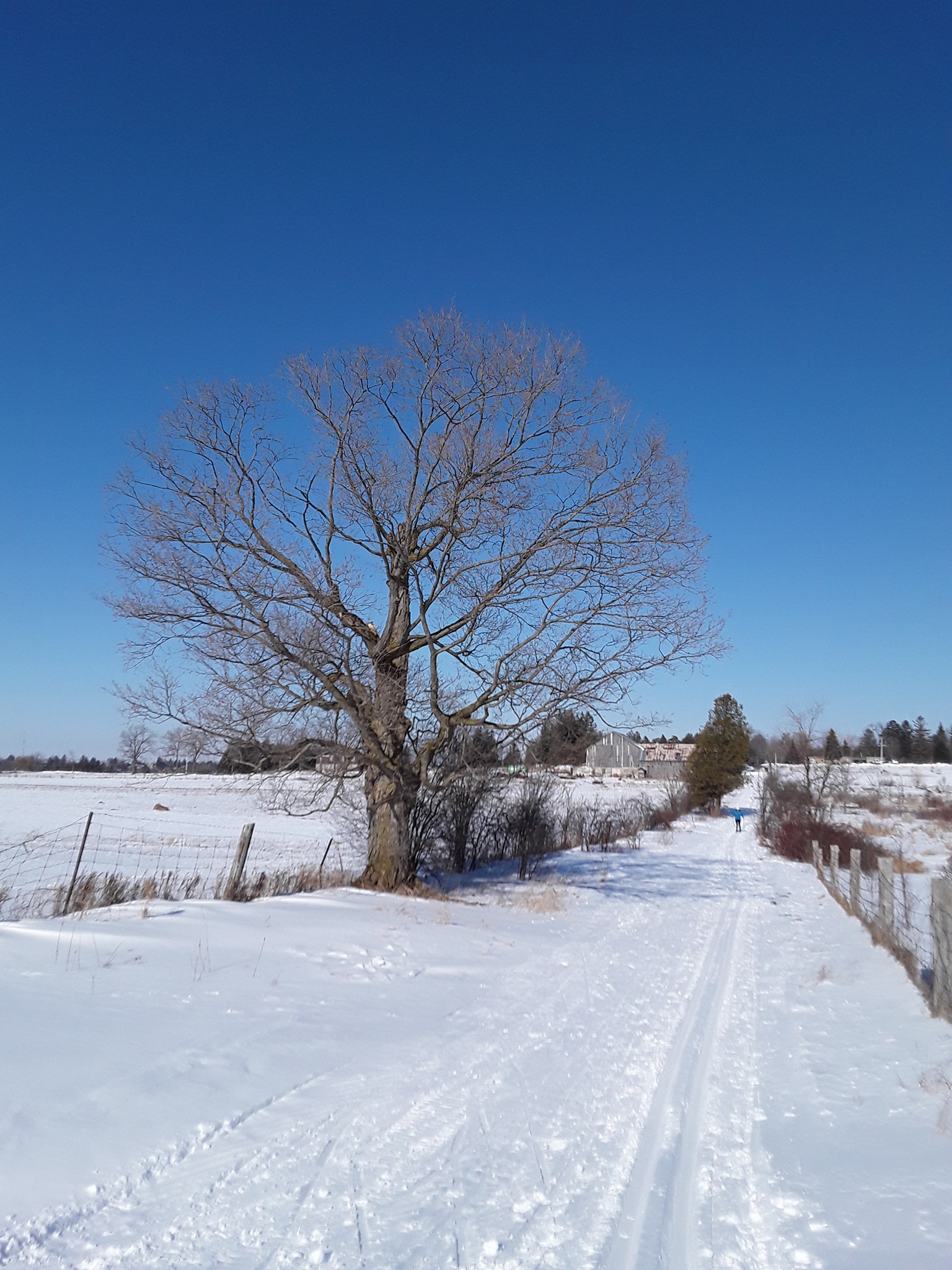 Musings on Lent from an Ecospiritual Perspective – Part 2