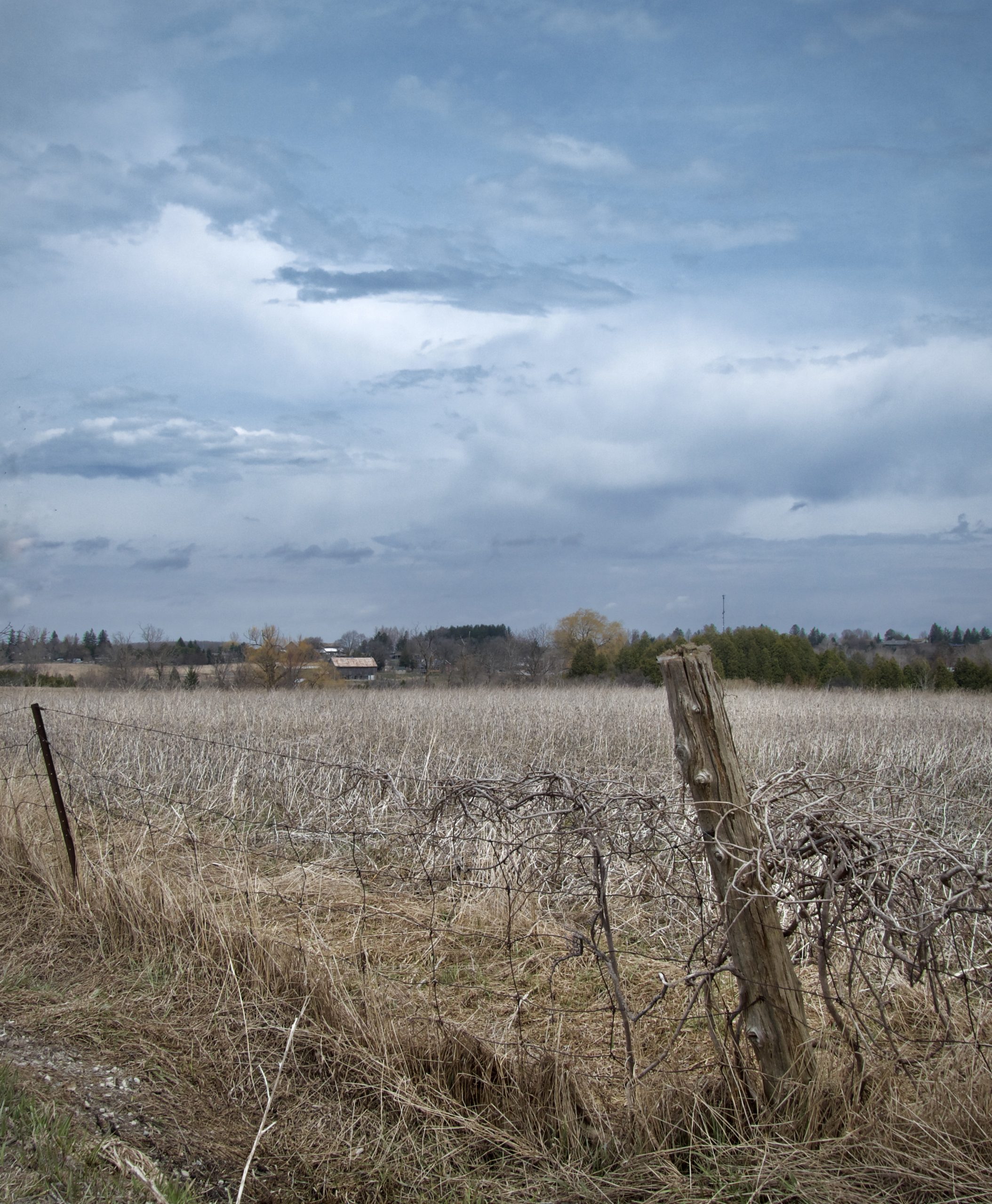 Musings on Lent from an Ecospiritual Perspective – Part 3