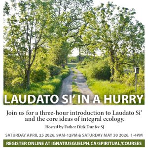 Laudato Si' in a Hurry