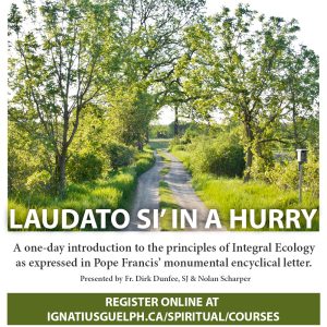 Laudato Si' in a Hurry