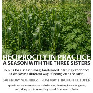 Reciprocity in Practice — A Season with the Three Sisters